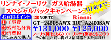 �����i�C�E�m�[���c�K�X������@�X�y�V�����p�b�N�L�����y�[��