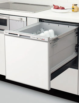 �i�V���i��NP-P60F1S1