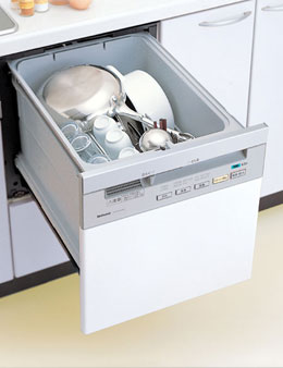�i�V���i��NP-P60F1S1