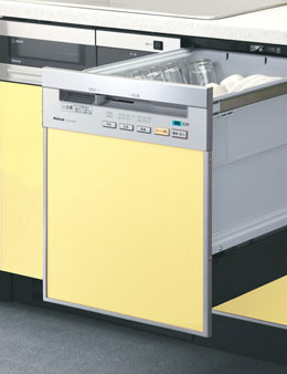 �i�V���i��NP-P60F1S1