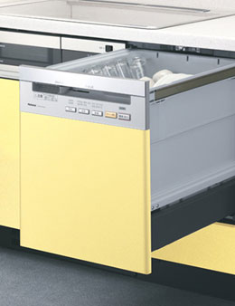 �i�V���i��NP-P60F1S1