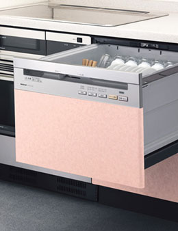 �i�V���i��NP-P60F1S1