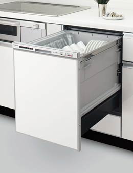 �i�V���i��NP-P60F1S1