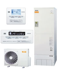 ���� �G�R�L���[�g 55%Off