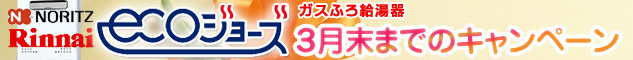 エコジョーズ10周年記念セール