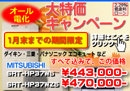 パック商品１０周年記念セール