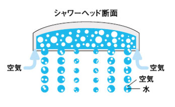 シャワーヘッド断面